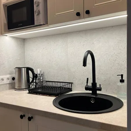 Sweet Near Opera House 公寓 利沃夫